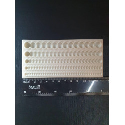 Молд буси великі